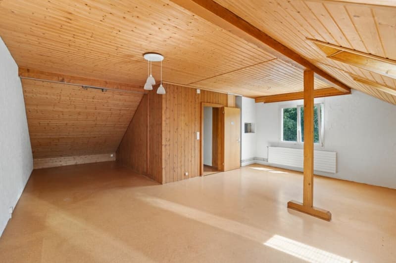 5.5-Zimmer-Eckhaus mit grossem Garten und Potential (8)