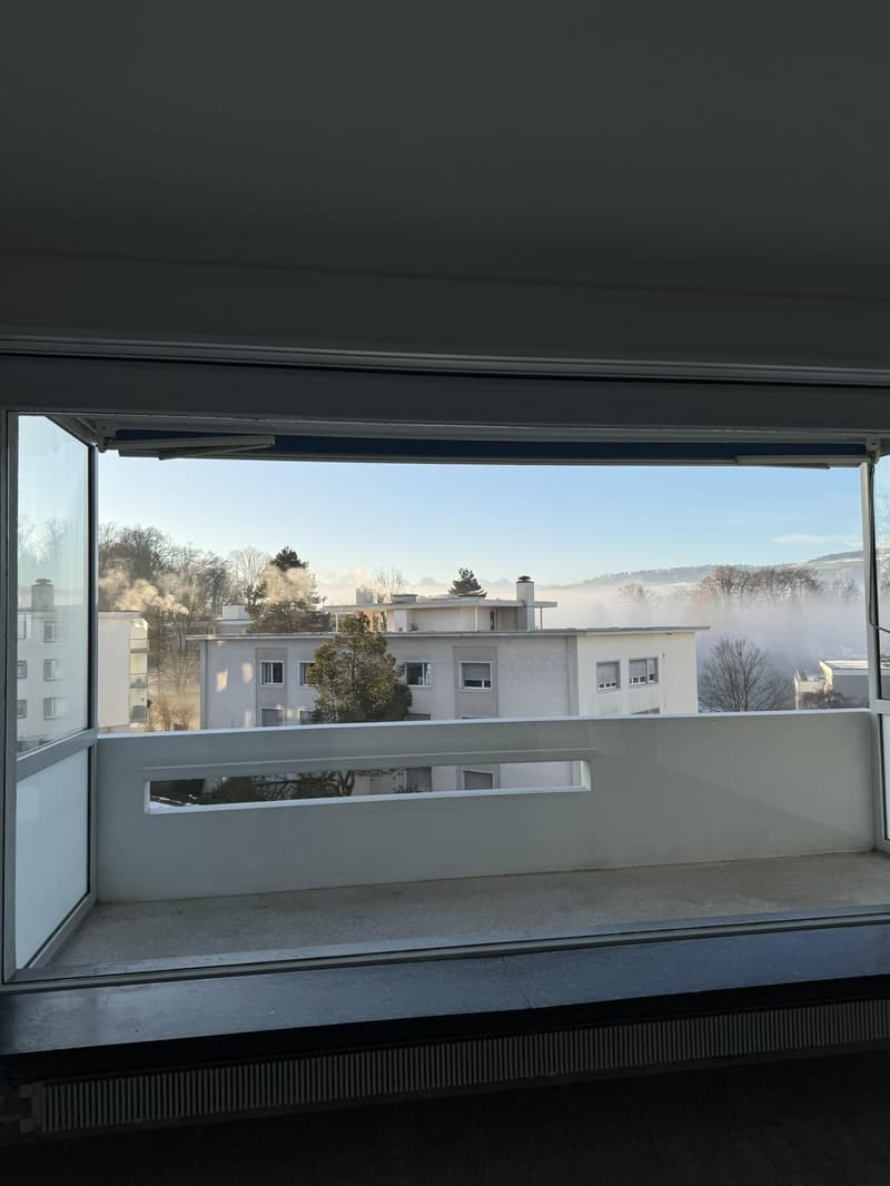 Sunny residential area with balcony (4)