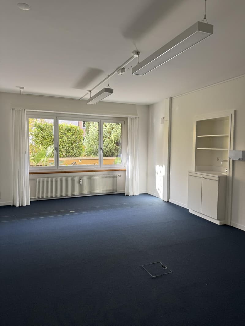 Uffici/Locali Commerciali in Affitto a partire da CHF 80./m² all'anno (3)