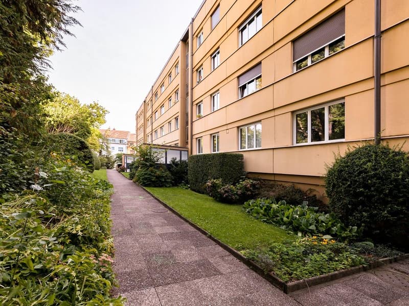Uffici/Locali Commerciali in Affitto a partire da CHF 80./m² all'anno (9)