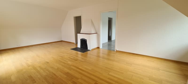 Spacious apartment with a view of the Gurten (7)