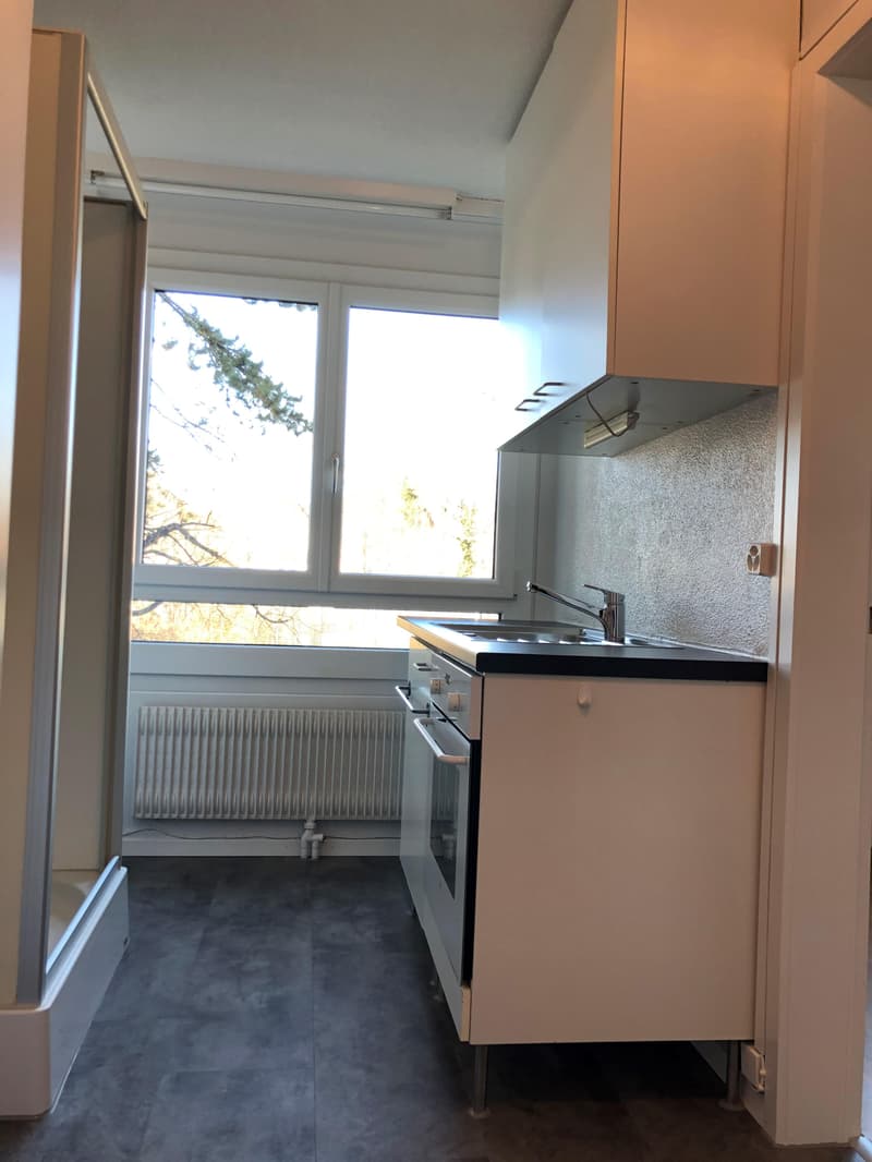 Appartement single ensoleillé dans le centre de Lyss (4)