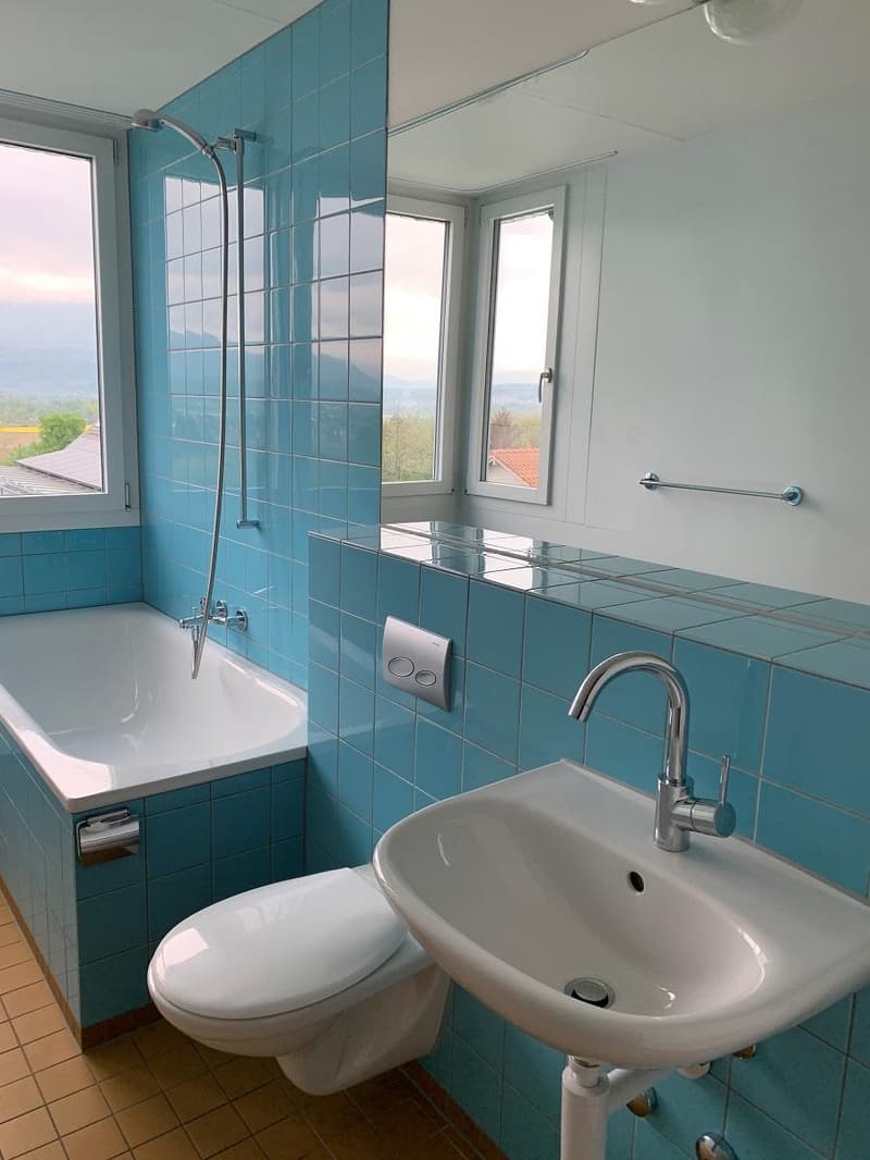Quietly located apartment in Büren an der Aare (5)