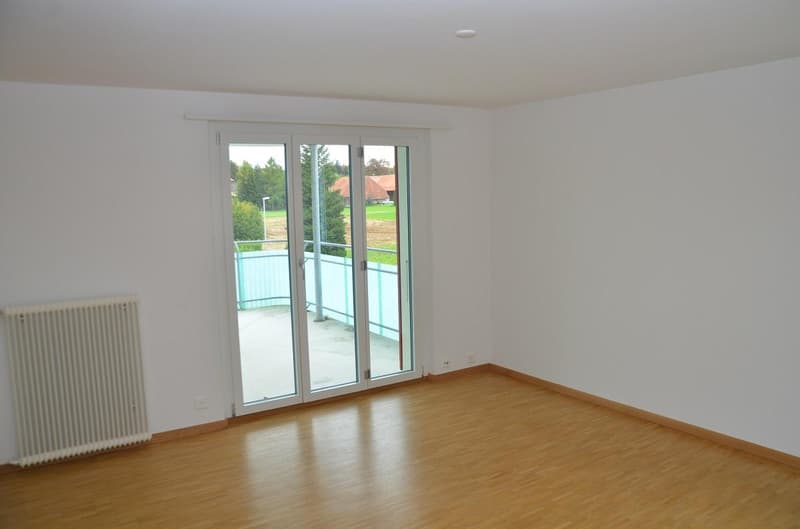 Quietly located apartment in Büren an der Aare (3)