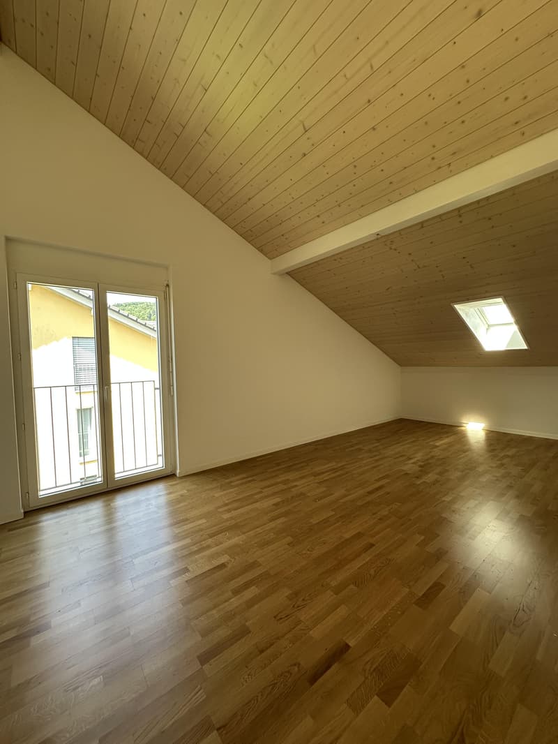 Lichtdurchflutete Dachwohnung (7)