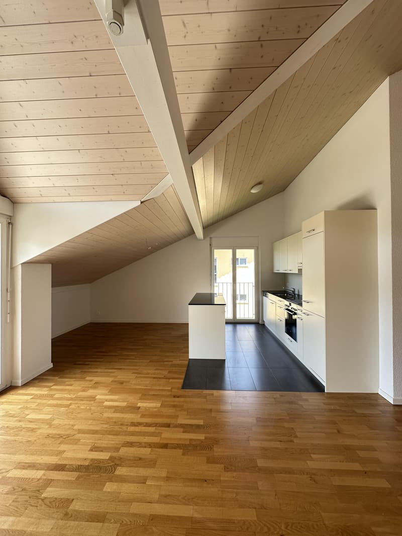 Lichtdurchflutete Dachwohnung (3)