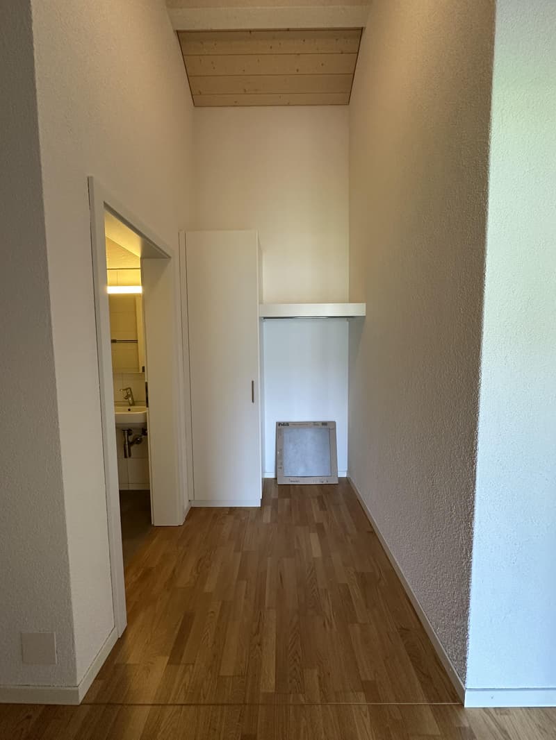 Lichtdurchflutete Dachwohnung (10)