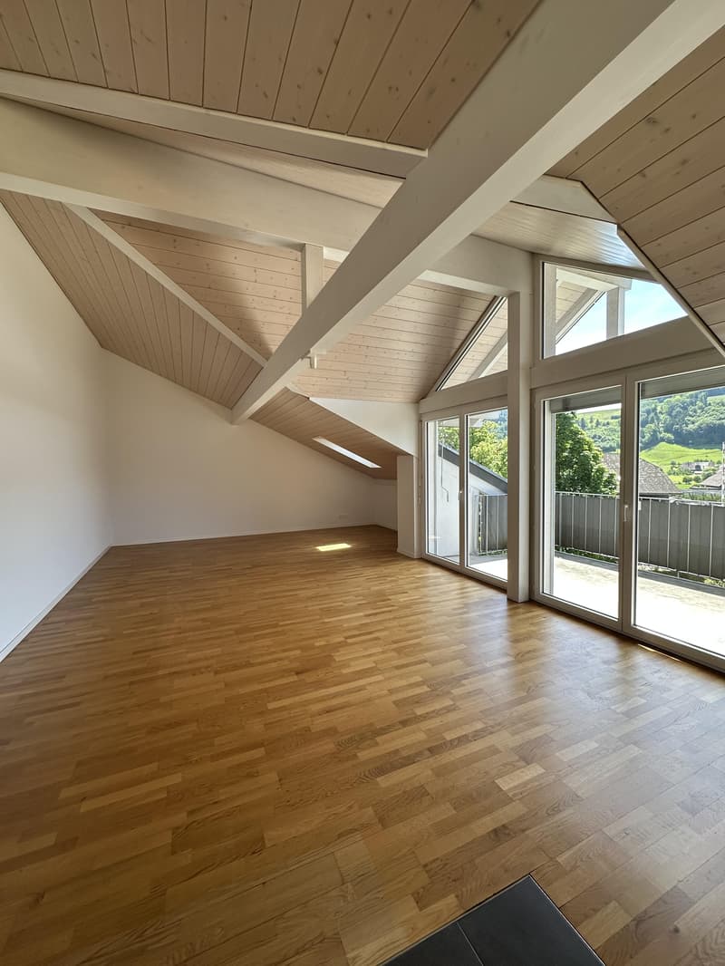 Lichtdurchflutete Dachwohnung (6)