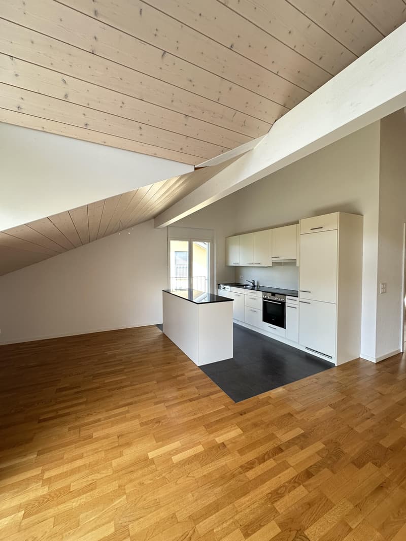 Lichtdurchflutete Dachwohnung (2)