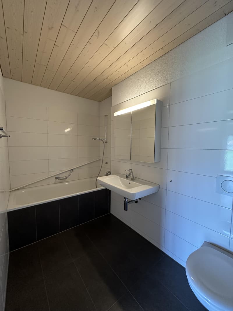 Lichtdurchflutete Dachwohnung (5)