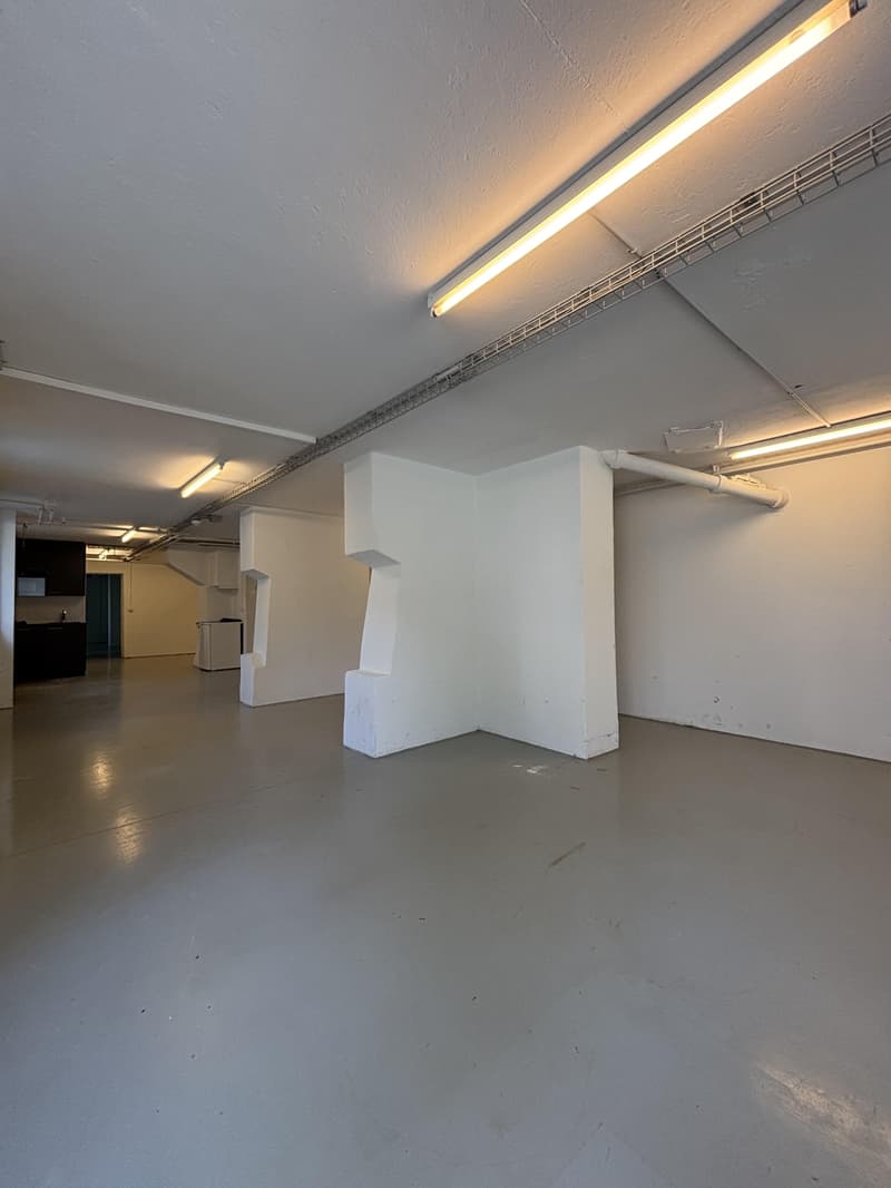 Spazio commerciale polivalente di 132 m² (2)