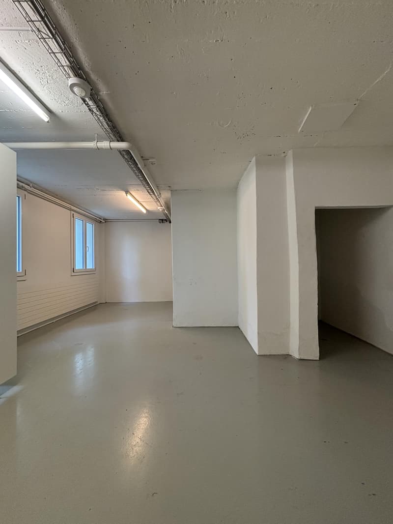 Spazio commerciale polivalente di 132 m² (8)