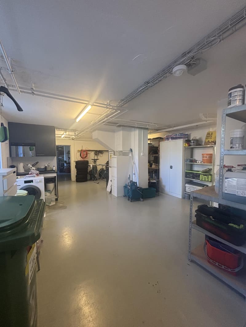 Vielseitig nutzbare Gewerberäumlichkeit mit 132 m² (2)