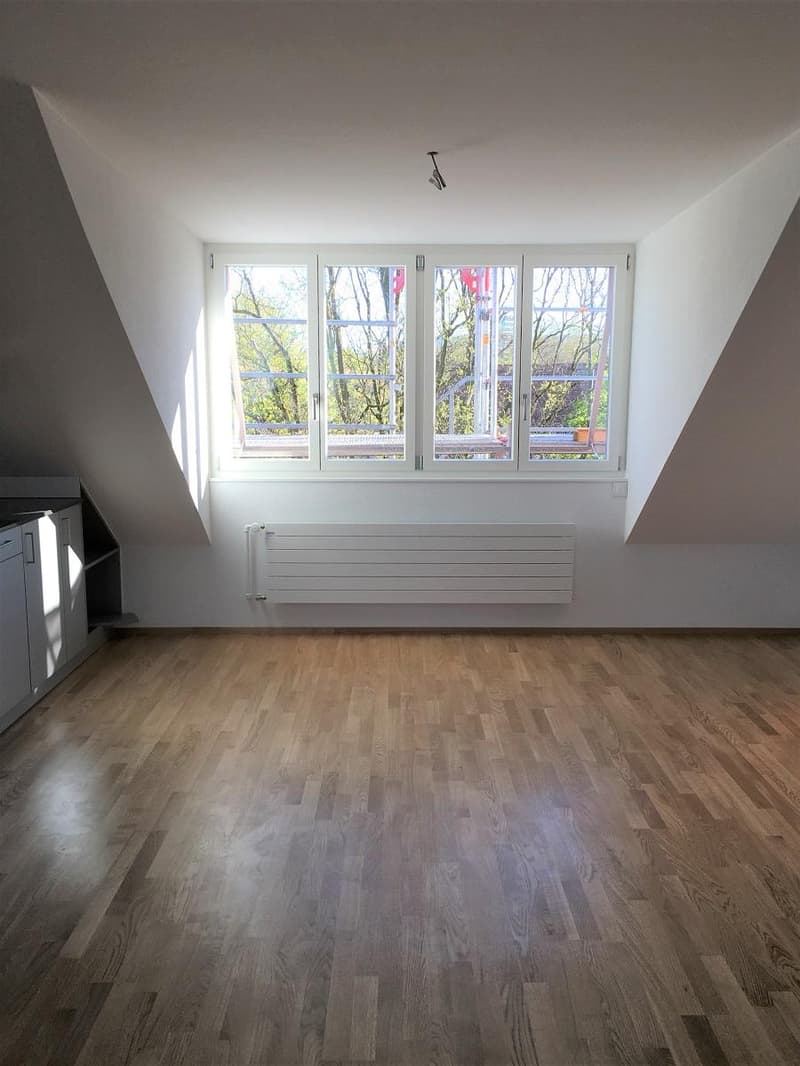 Helle 2-Zimmer-Dachwohnung an Top-Lage (5)