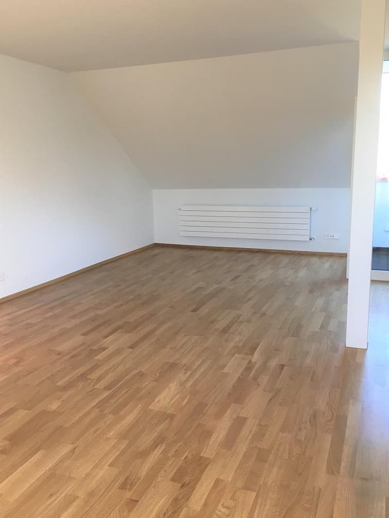 Helle 2-Zimmer-Dachwohnung an Top-Lage (7)
