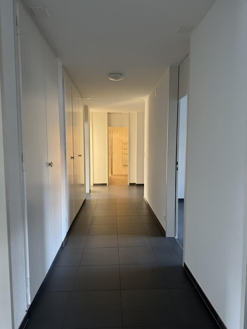 Appartamento luminoso 5.5 locali a Muri vicino a Berna (6)