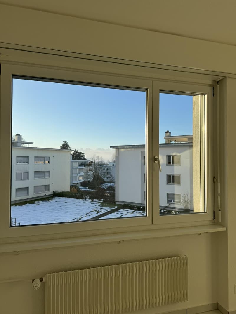 Appartamento luminoso 5.5 locali a Muri vicino a Berna (4)
