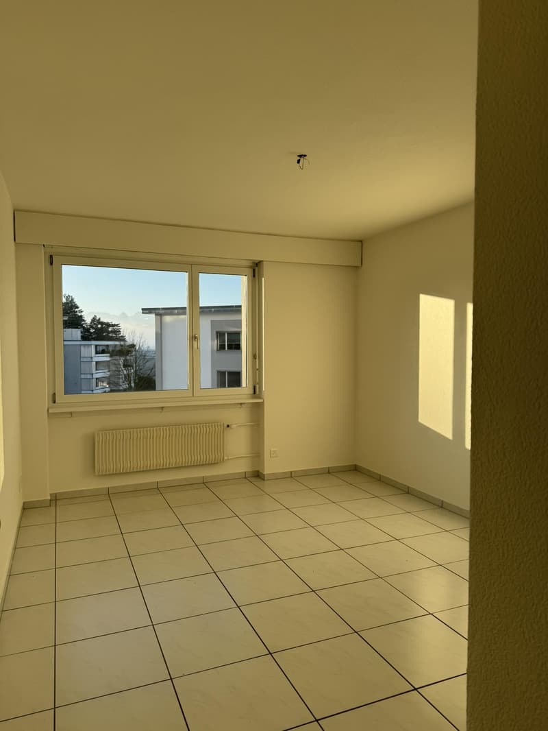 Appartamento luminoso 5.5 locali a Muri vicino a Berna (3)