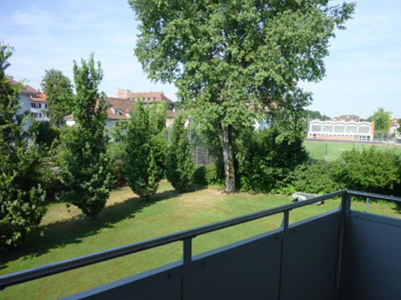 hübsche Singlewohnung im Fischermätteli Quartier (4)