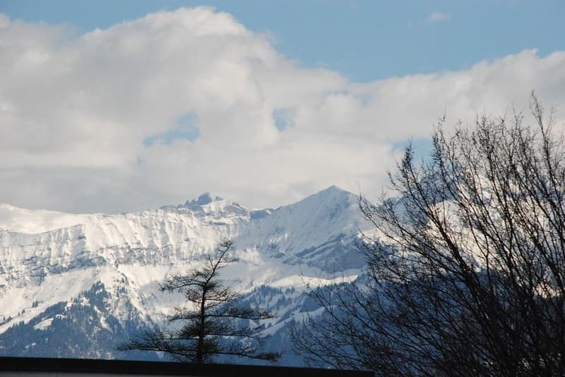 Wohnen mit Alpenblick! (7)