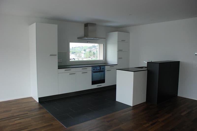 Moderne 3.5-Zimmerwohnung an ruhiger Lage (2)