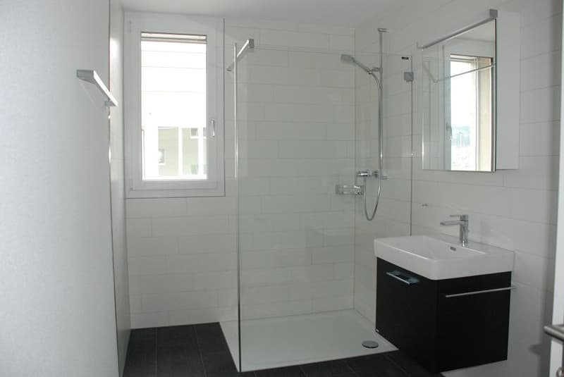 Moderne 3.5-Zimmerwohnung an ruhiger Lage (4)