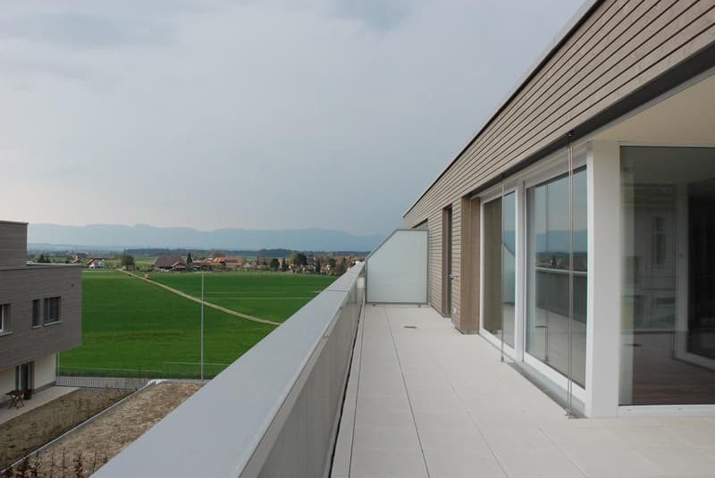 Moderne Attikawohnung mit grosser Terrasse (8)