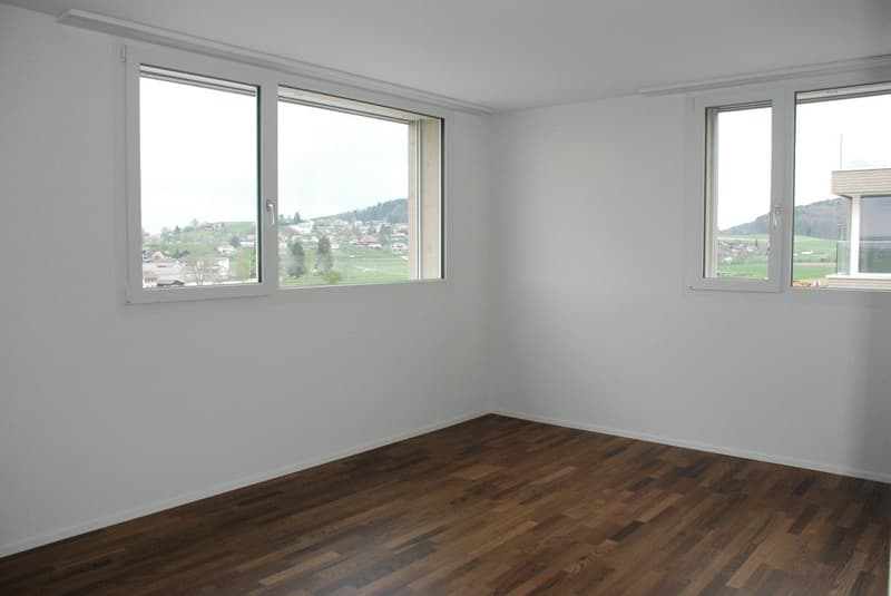 Moderne Attikawohnung mit grosser Terrasse (7)