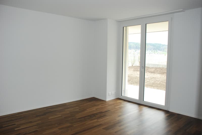 Moderne Attikawohnung mit grosser Terrasse (6)