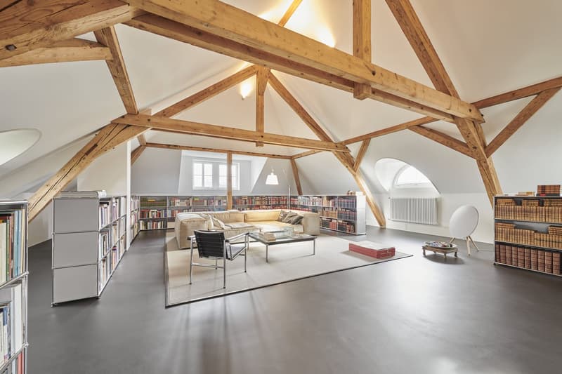 Exklusiver 9-Zimmer-Wohntraum in Parkanlage (8)