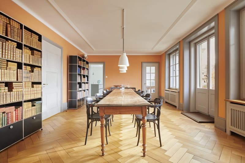 Exklusiver 9-Zimmer-Wohntraum in Parkanlage (5)