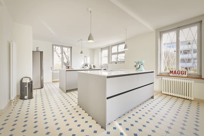 Exklusiver 9-Zimmer-Wohntraum in Parkanlage (7)