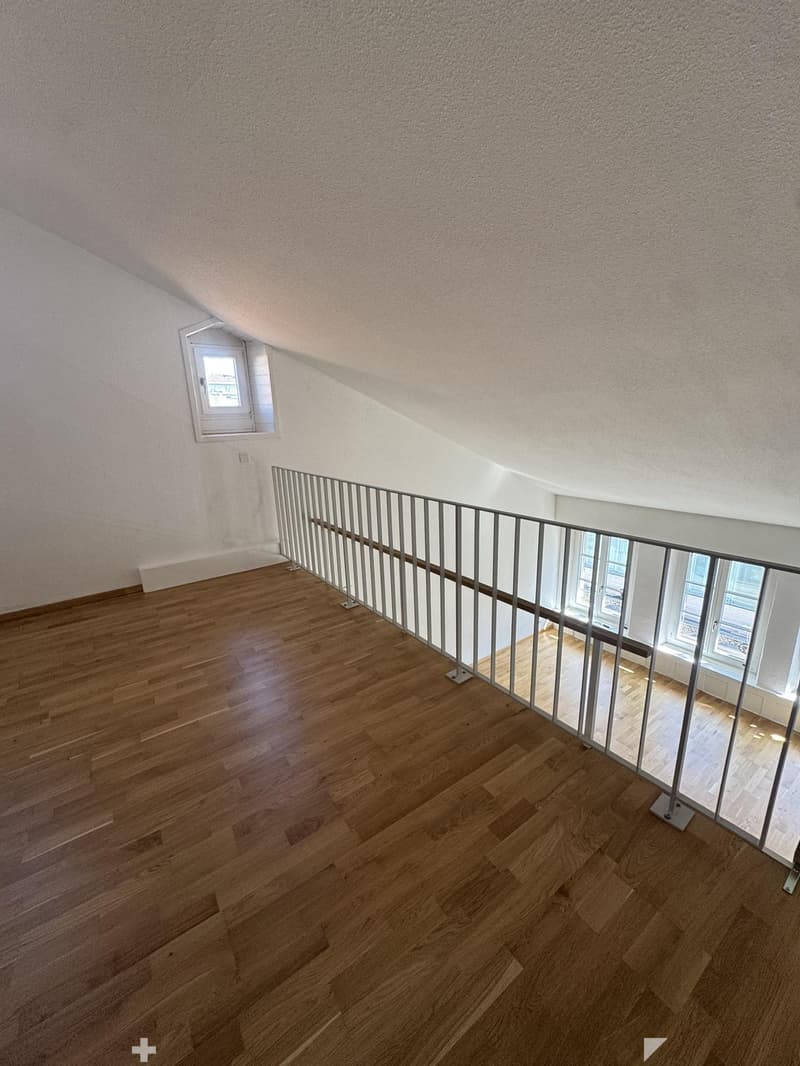 Charmante Wohnung in Biel/Bienne (6)