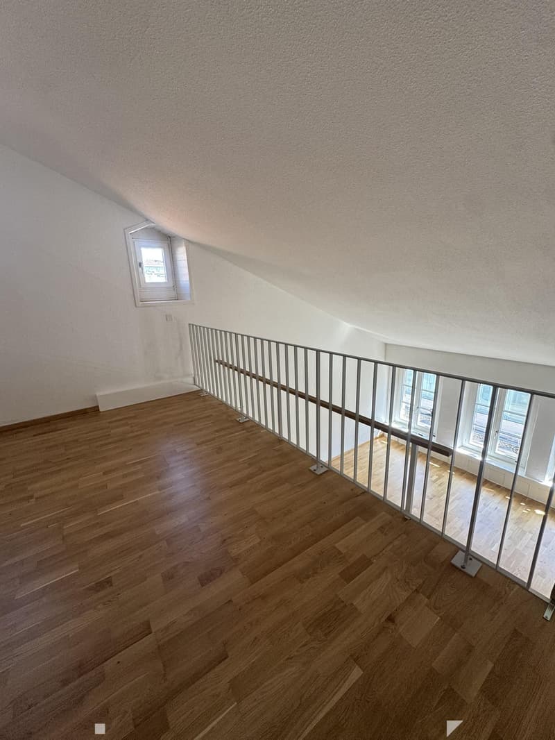 Charmante Wohnung in Biel/Bienne (6)