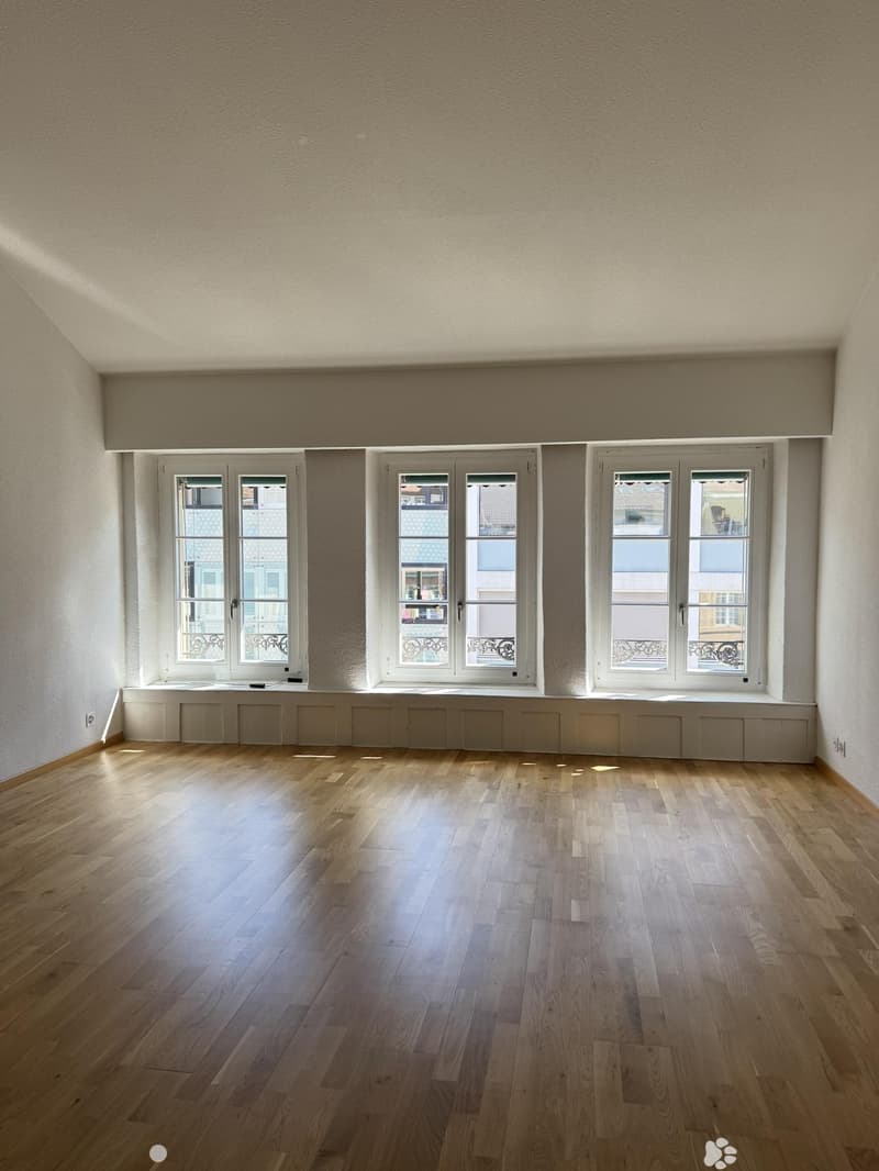 Charmante Wohnung in Biel/Bienne (3)