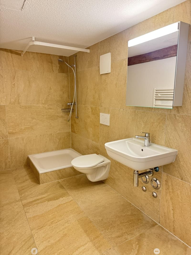 Charmante Wohnung in Biel/Bienne (5)