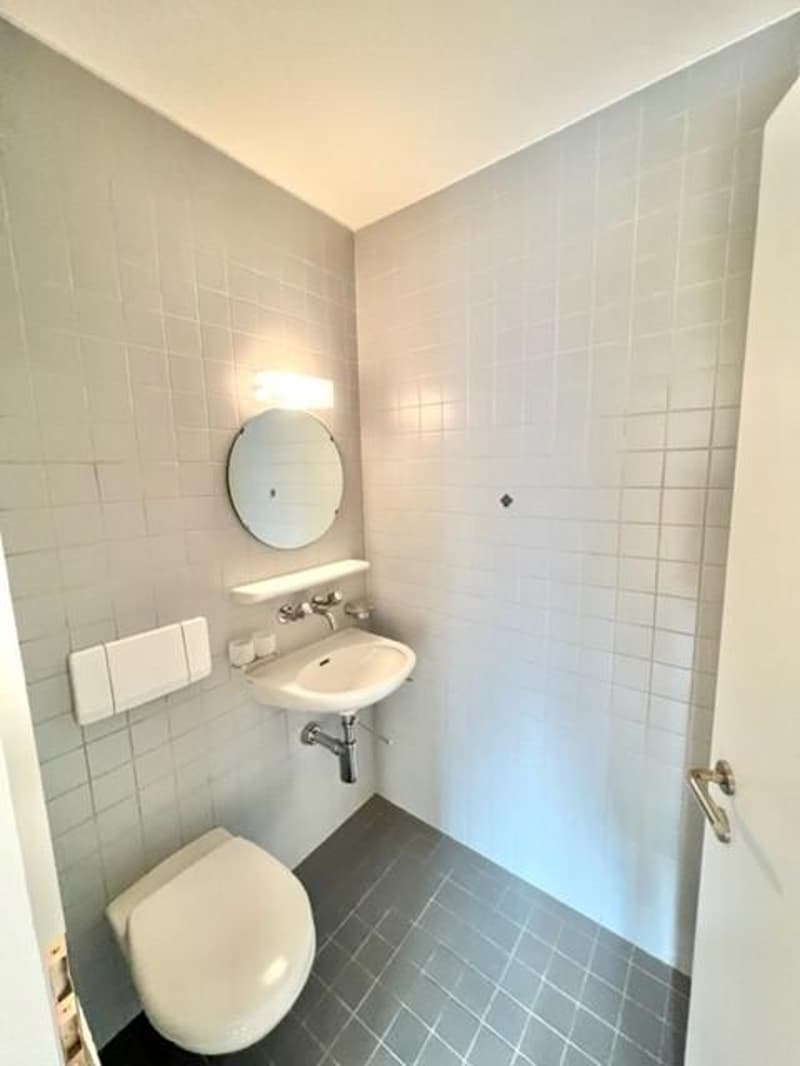 Schöne Wohnung an attraktiver Lage (2)