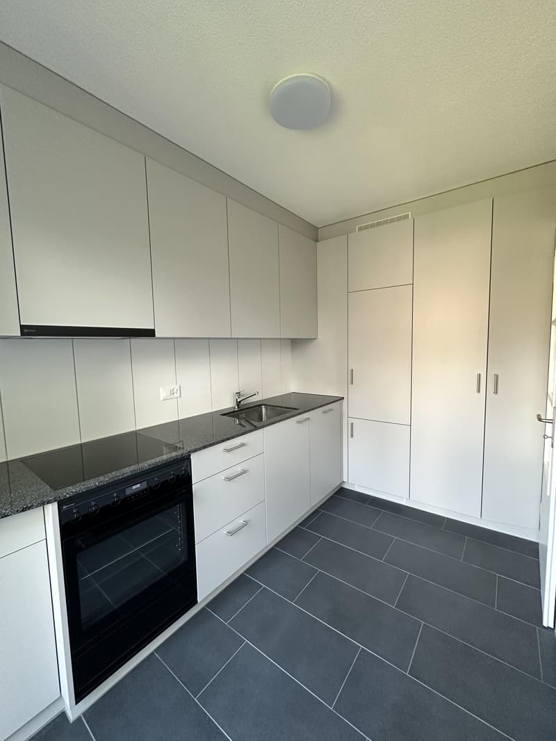 Erstbezug nach Wohnungssanierung (2)