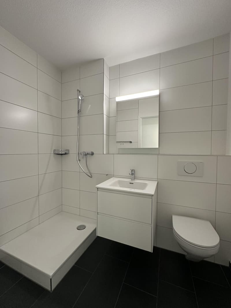 Erstbezug nach Wohnungssanierung (3)