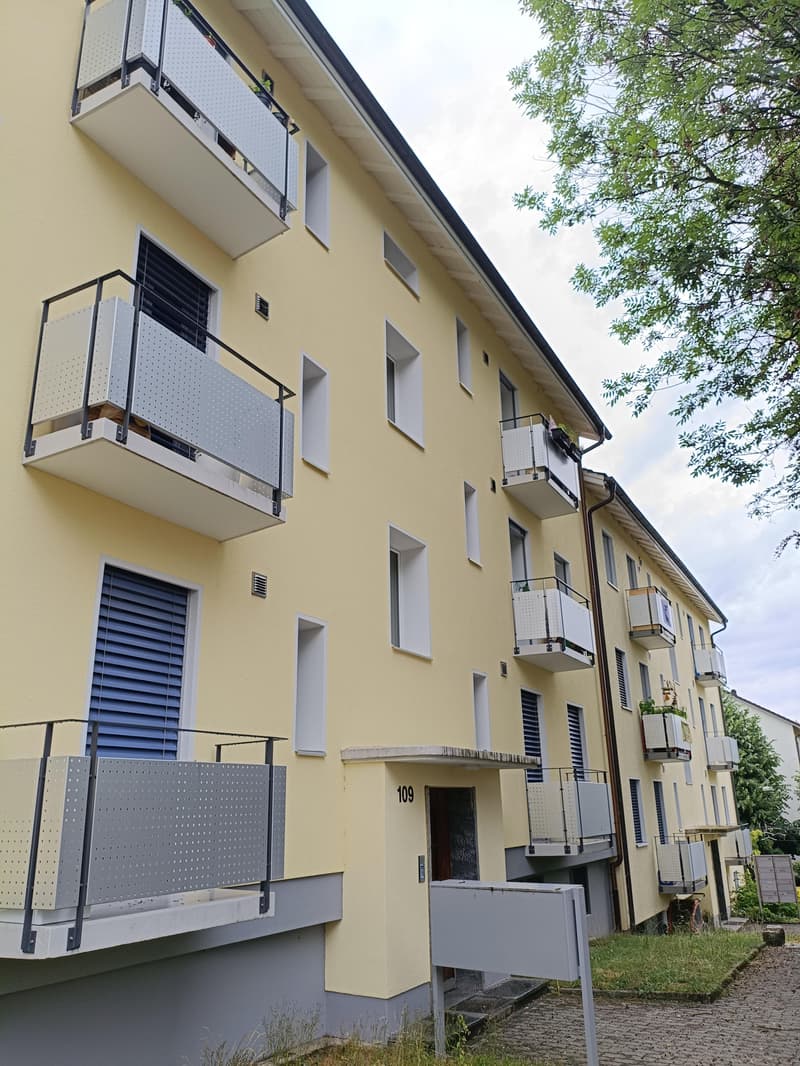 Charmante Wohning in Holligenquartier (1)