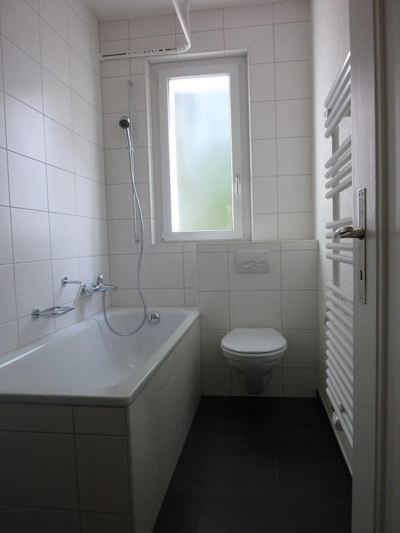 Charmante Wohning in Holligenquartier (8)
