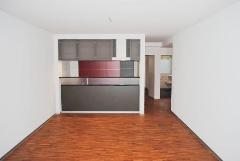 Moderne Wohnung direkt am Eigerplatz (3)
