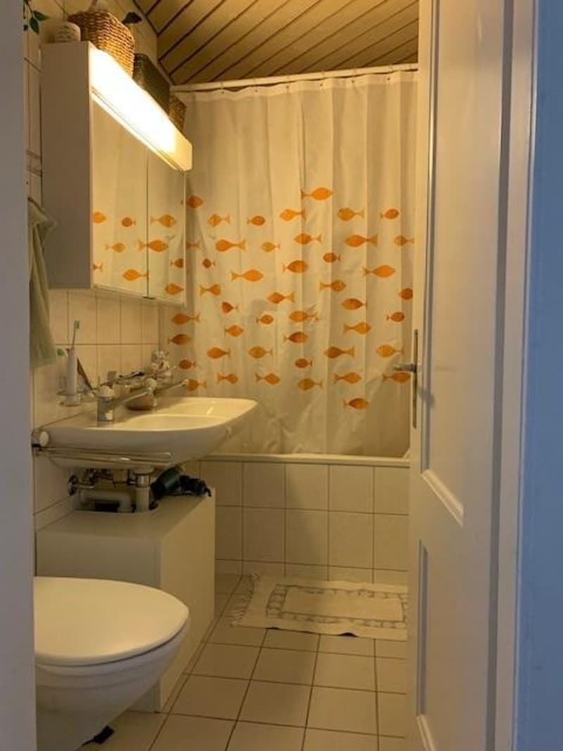 gemütliche Wohnung mitten in der Stadt Bern (2)