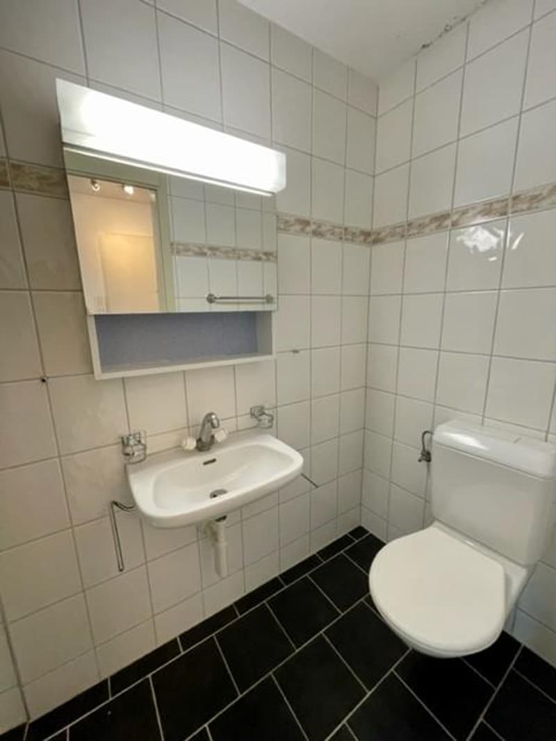 Grosse Familienwohnung in Lyss (4)
