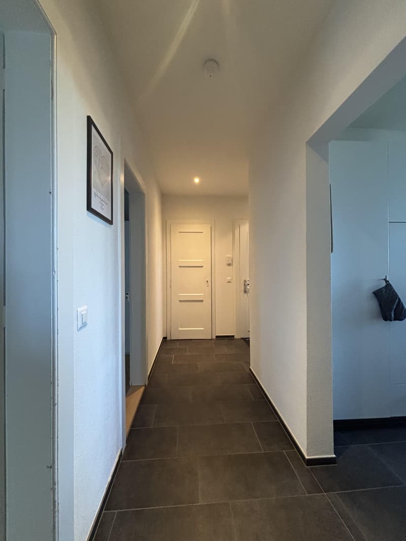 2.5 Zimmerwohnung in Bern (3)