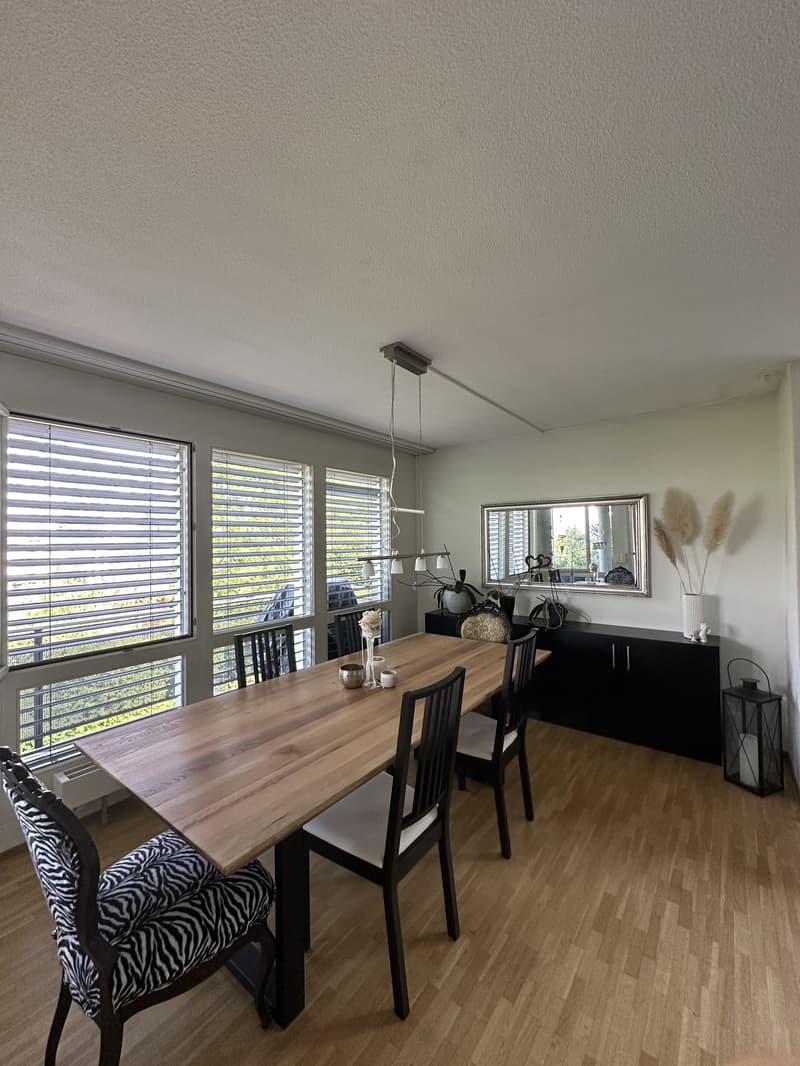 gemütliche 4.5-Zimmerwohnung in familienfreundlichem Quartier (3)