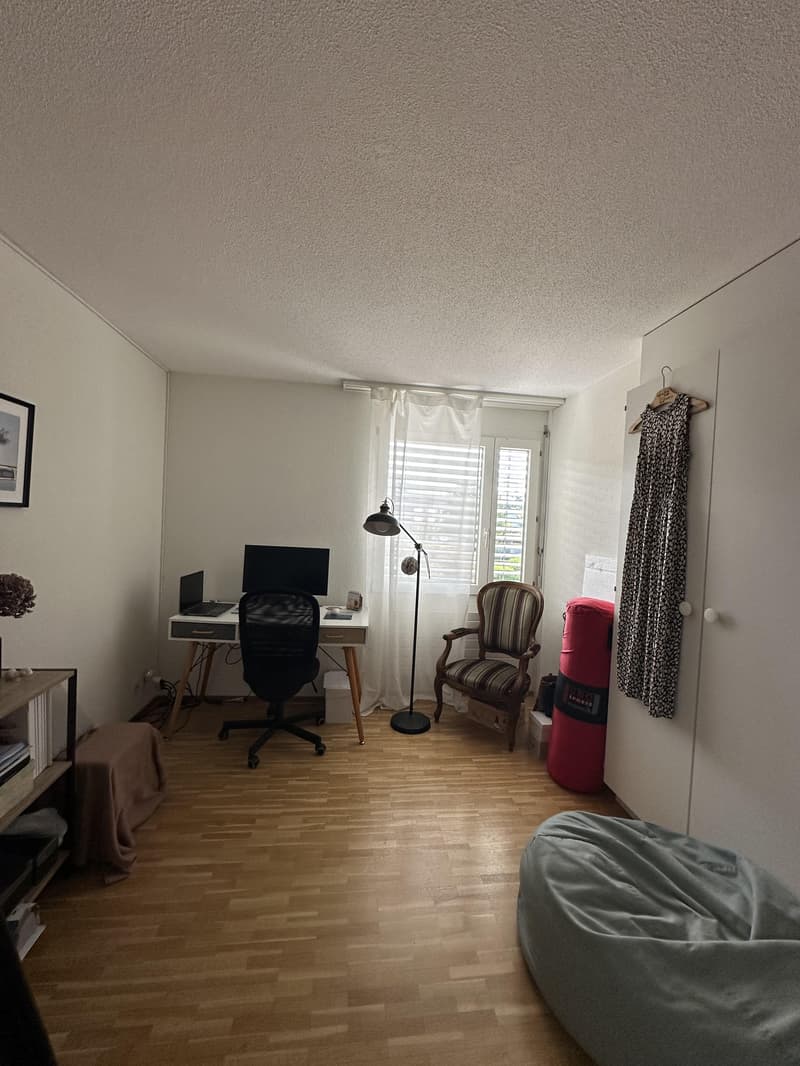 gemütliche 4.5-Zimmerwohnung in familienfreundlichem Quartier (7)
