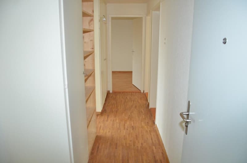 1 Monat gratis wohnen! Gemütliche 3-Zimmerwohnung mit grossem Balkon (3)