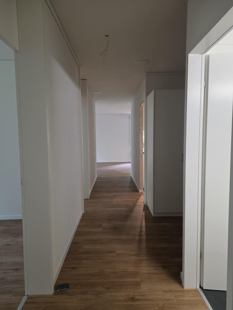 Sanierte Wohung im Wittikofenquartier (10)