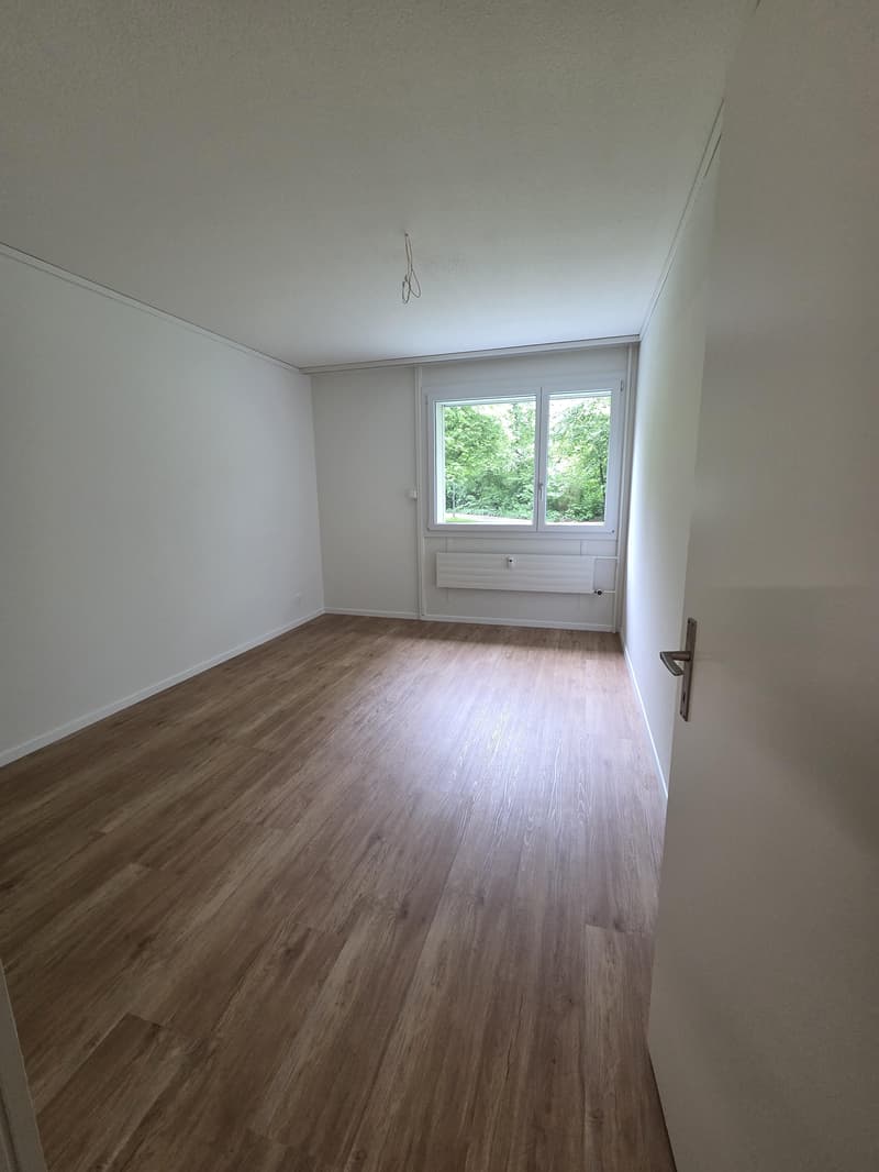 Sanierte Wohung im Wittikofenquartier (9)
